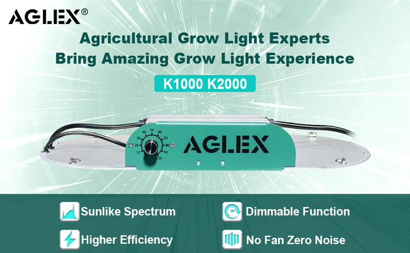 2020 Sıcak Satış Kısılabilir 100W LED Grow Işıklar