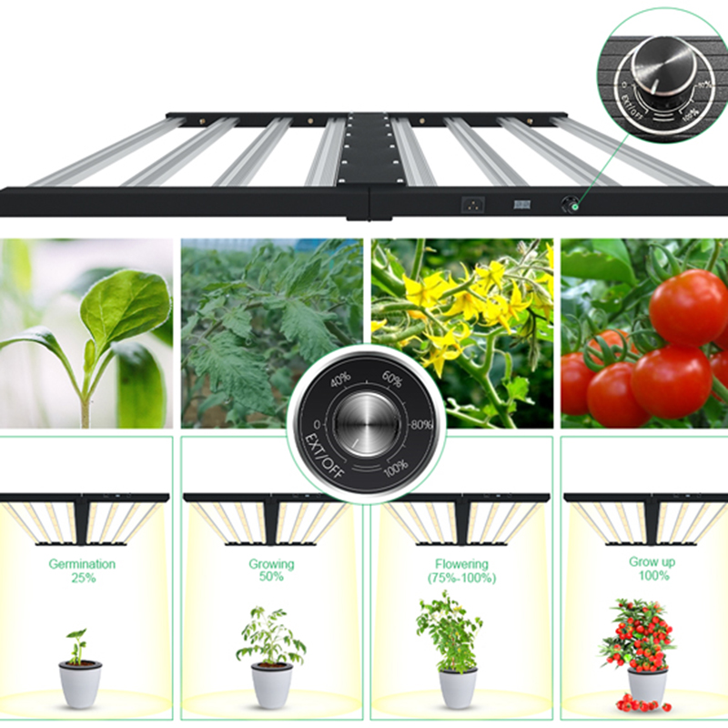 Led Greenhouse Lights