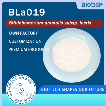 Hochreines Bifidobacterium animalis subsp. Lactis 400B KBE/g