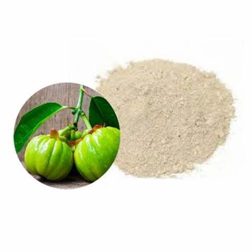 Natural Garcinia cambogia extract powder