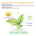 LED Grow Light Full Spectrum DC5V USB Grow Strip 0.5m 1m 1.5m 2m 2.5m 2835 SMD LED Phyto Tape for Seed Plants Flowers Greenhouse