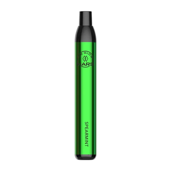 OEM Wholesale Vape Disposable E Cig 2500 Puffs