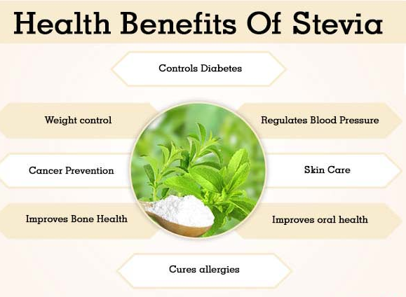 stevia extract powder benefits