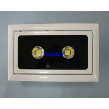 led floodlight XX30W