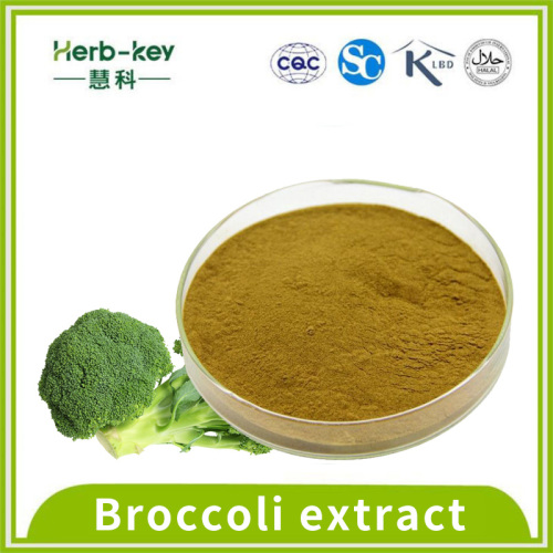 10:1 ratio of broccoli extract powder