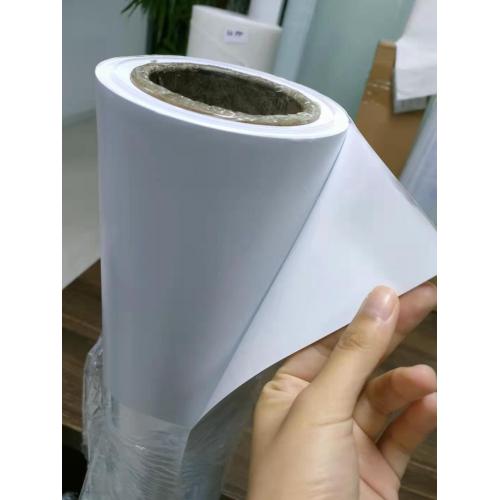 PP SHEET FILM WITH best PRICE