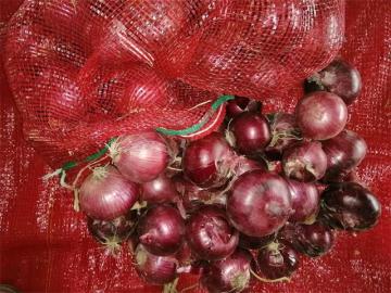 Cipolla rossa fresca della migliore qualità 2020