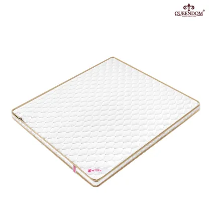 Coir Coconut Fiber Sleepwell King Mattress Bedroom Furniture