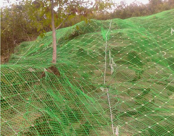 protect wire mesh 