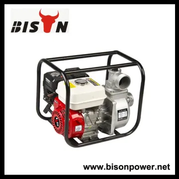 BISON(CHINA) Common Style Water Pump Philippines,Car Wash High Pressure Water Pump