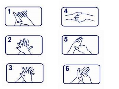 wash our hands correctly