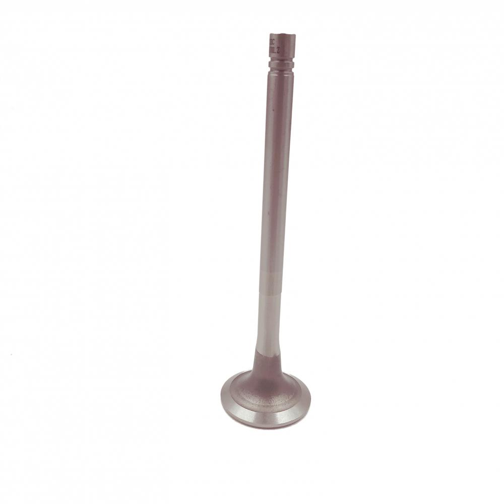 Exhaust Valve 145701