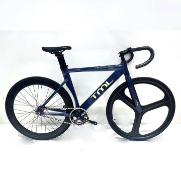 2024 New Design Aluminum Alloy Fixed Gear Bike Frame