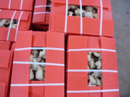 organic fresh anqiu ginger