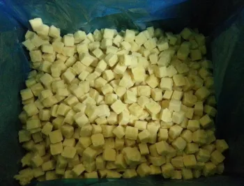 Frozen Ginger Paste