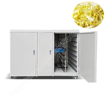 Commercial Bean Sprout Machine: Bean Sprouts Drying and Mung Bean Sprout Maker