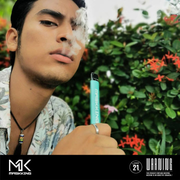 Hot Mini Vape High GT 450 puffs Fruit Flavors