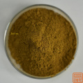 Extracto de hoja de oliva oleuropein 40%