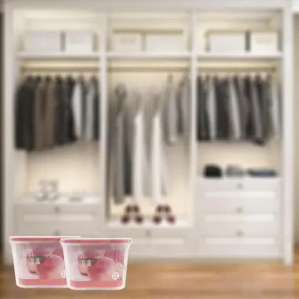 230g Scented Wardrobe Dehumidifier Box