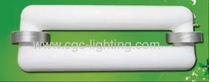 Induction Light Bulb 