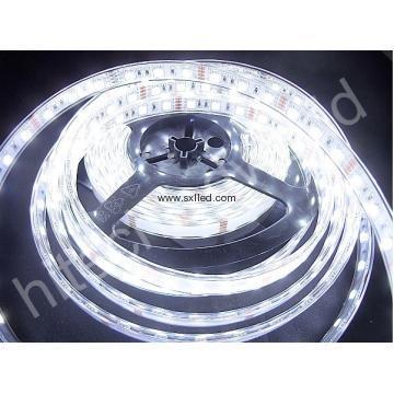 3528 SMD  LED Rope Light white  60dot /m