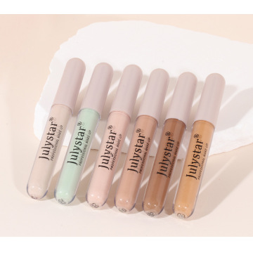 Grosir vegan tahan lama warna kustom matte concealer concealer oem