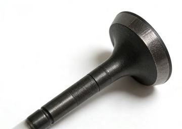 Durable Engine Intake Valve