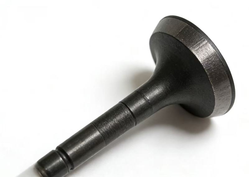 Durable Engine Intake Valve