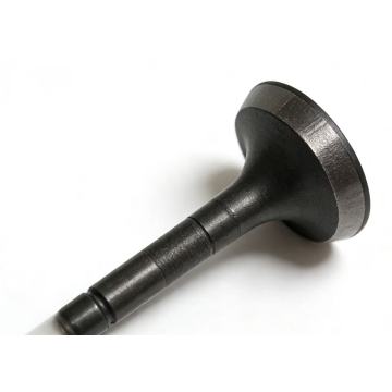 Durable Engine Intake Valve