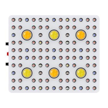 새로운 도착 CXB3590 COB 칩 LED 성장 조명