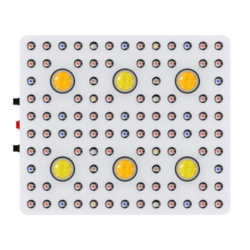 Neuankömmling CXB3590 COB -Chips LED Wachsen Licht