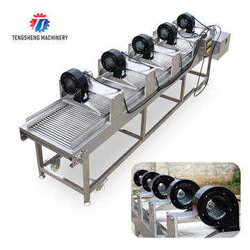 Automatic Fruit and Vegetable Parallel Drying Machine TS-PX35