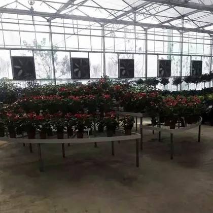 greenhouse agriculture projects