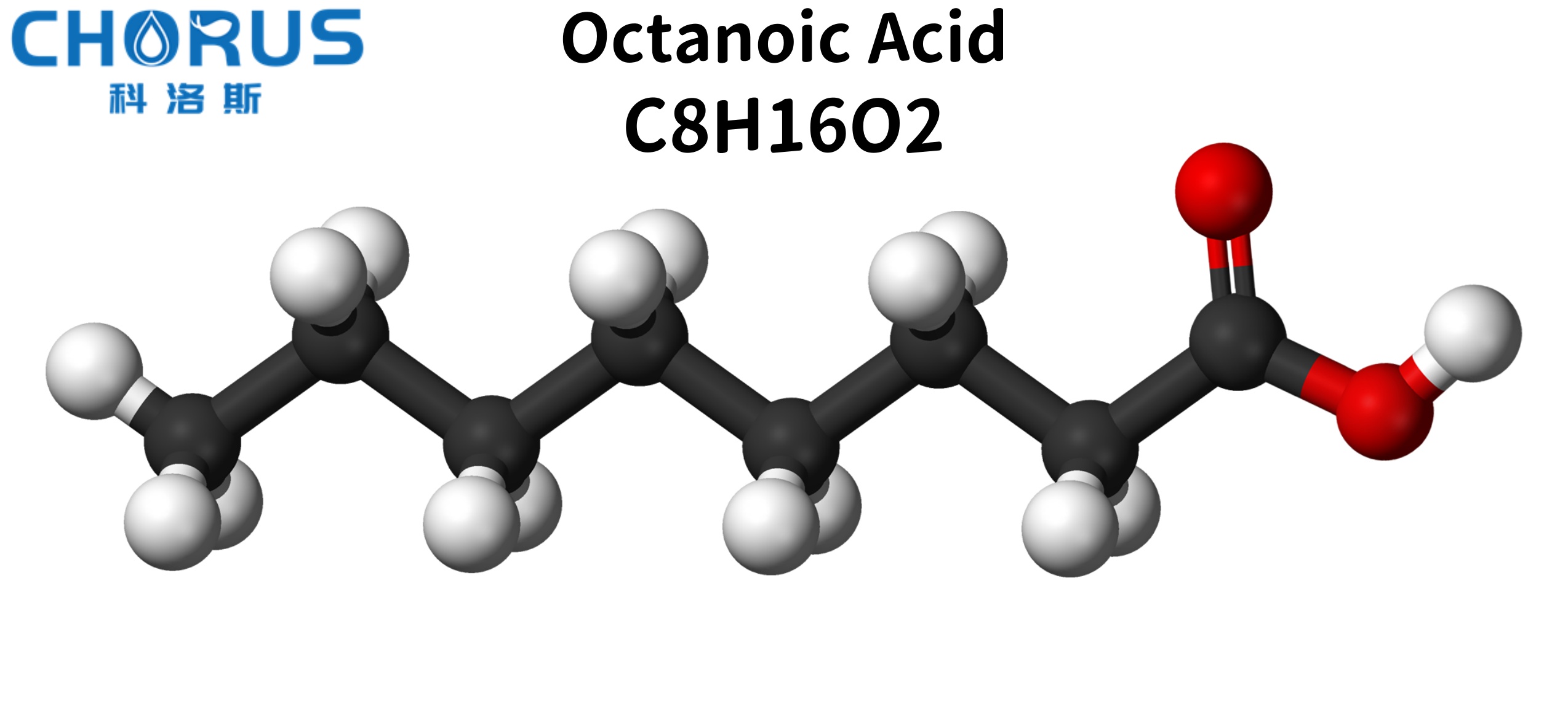 01-Octanoic Acid C0899  4