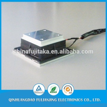 Longer durableness automatic 12v peltier cool car cooler