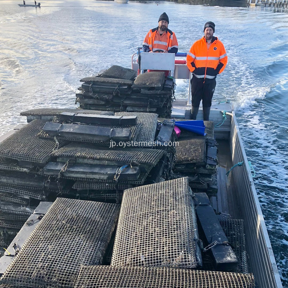 フォーム入りの耐久性のあるオイスターメッシュバッグ