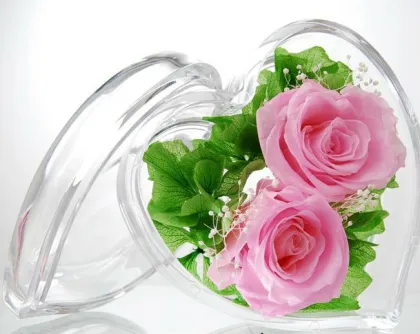 Wholesale popular heart shape natural preserved flower, fresh preserved rose