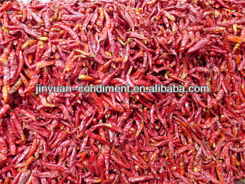 Red Chilli Pepper Distributors