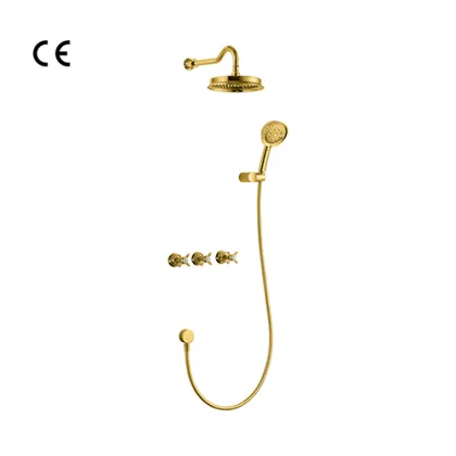 Shower Combination with Head & Hand Shower