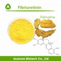 Pharmaceutical Grade Fibriuretinin / Palmatine 98% Powder