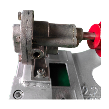 Adjustable Speed Micro Stainless Steel Gear Pump for Food Hygiene and Quantitative Small Flow Applications