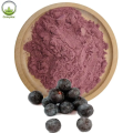 100% Natural Cranberry Juice Extract Powder