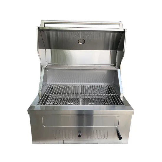 Modern Household Indoor Kitchen Grill Portable Chicken Wing Vegetable Corn Gas Grill