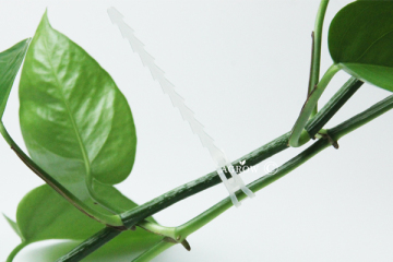 Cravatte di supporto per piante in plastica