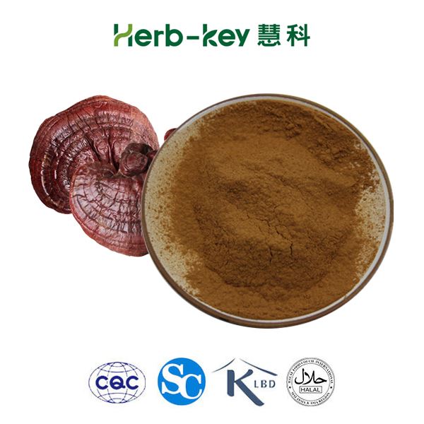 Ganoderma Lucidum Reishi Extract Extract Plant