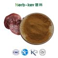 Ganoderma Lucidum Reishi Extract Plant Extract.