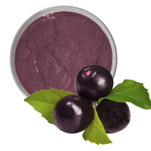 EU Organic Acai Berry Powder NOP Ogranic Acai Powder