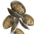 Soluzioni per la pulizia delle vongole sotto vuoto