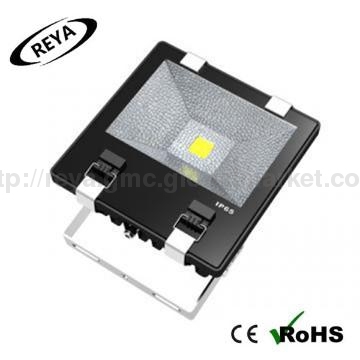 romote controller10w-60w RGB LED flood light