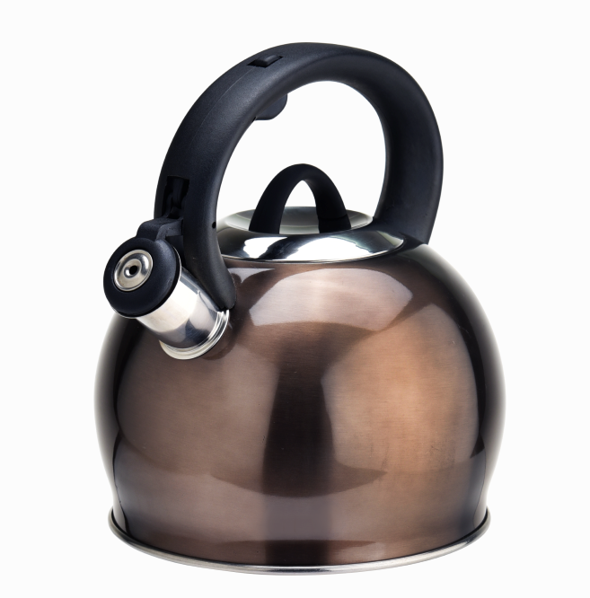 SS Whistling Cooktop Tea Kettle